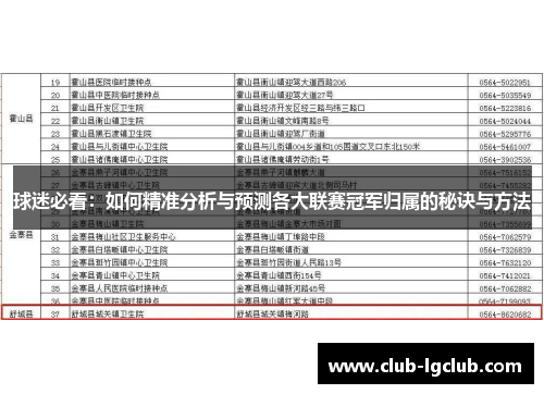 球迷必看：如何精准分析与预测各大联赛冠军归属的秘诀与方法